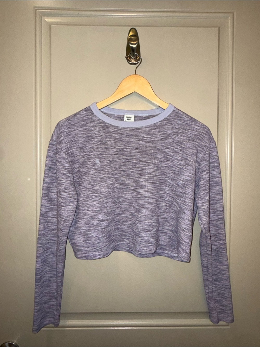 Aritzia Lavender Marled Long-Sleeve Cropped Tee